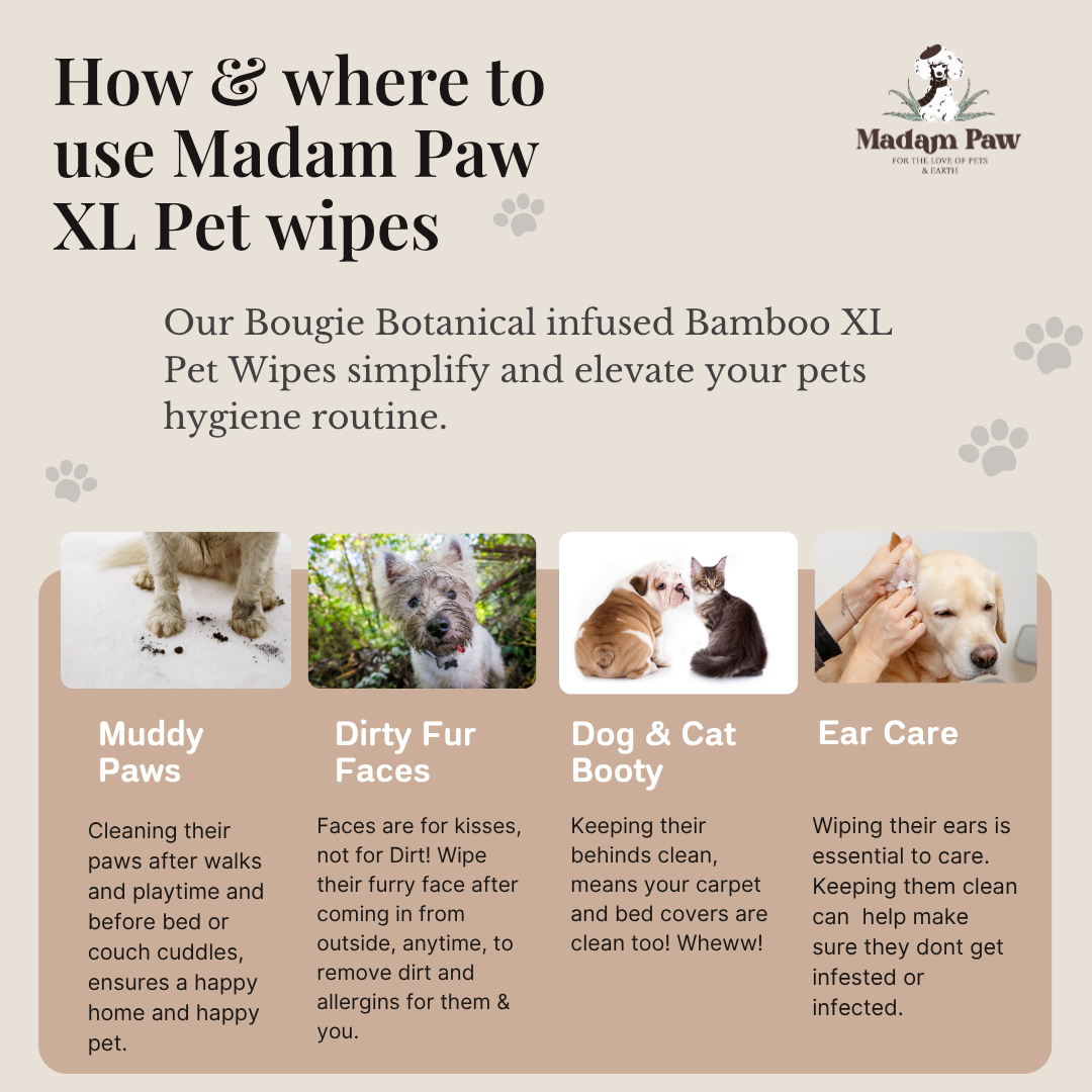 XL Organic Bamboo Pet Wipes -For pets that play hard and lounge harder. Enriched with natural extracts, designed to clean up messes without compromising your love for the planet. FREE BONUS includes a Sweet 10pc Fresh peach π travel pack