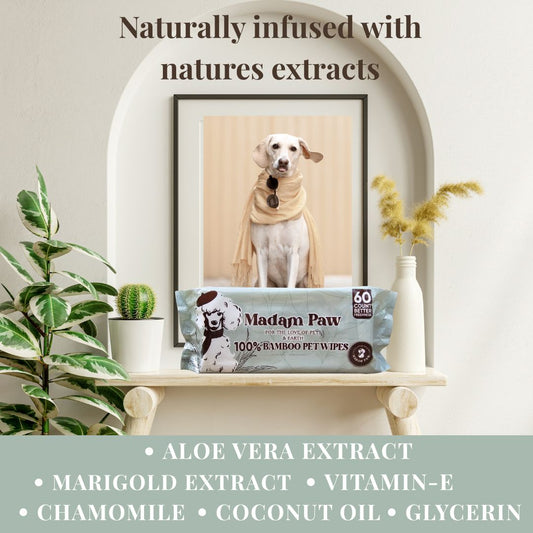 XL Organic Bamboo Pet Wipes -For pets that play hard and lounge harder. Enriched with natural extracts, designed to clean up messes without compromising your love for the planet. FREE BONUS includes a Sweet 10pc Fresh peach 🍑 travel pack